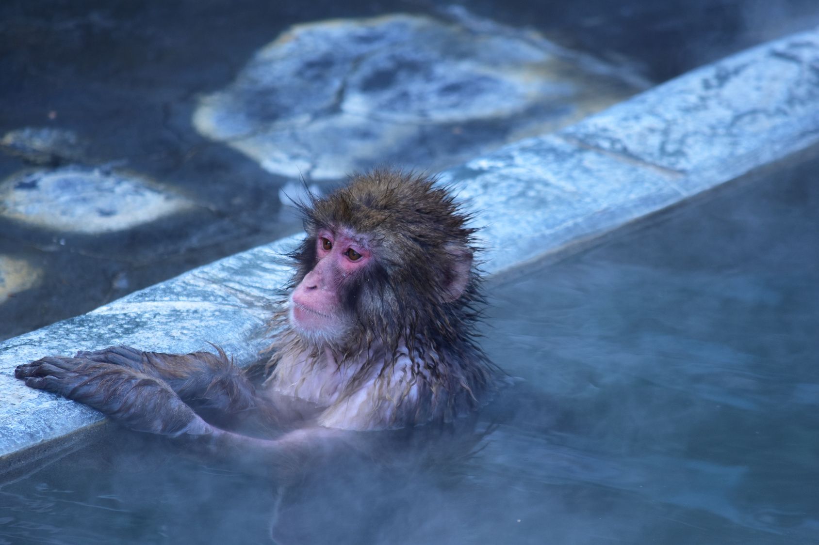 お風呂に入ってリラックスモードになろうとしても、肌にじりじりくる高温では逆に身体が活動モードに。適温はじんわり温かさを感じる40度前後。水などを飲みながら湯船に浸かり、10～15分ほど入浴しよう。浴室の照明を落とすと、効果がより高まる。