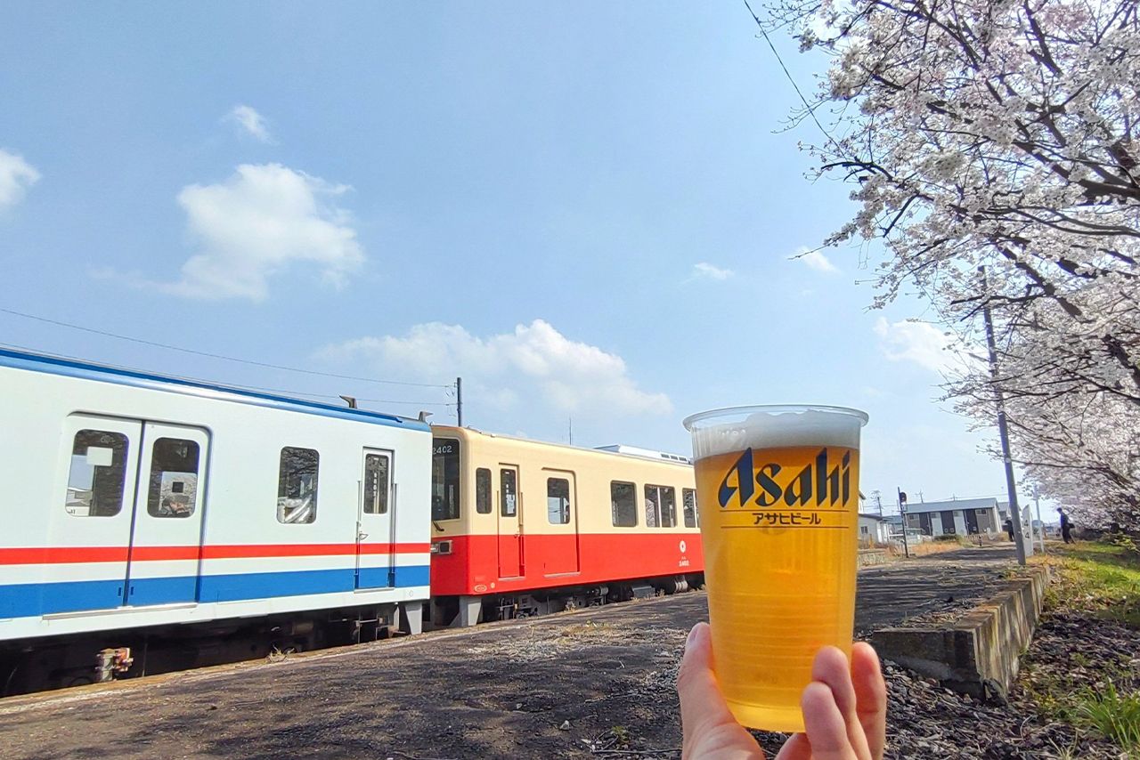 常総線一番の桜の名所「黒子駅」に停車中のお花見ビール列車　写真提供／関東鉄道株式会社