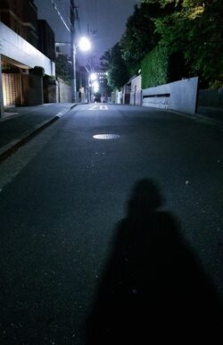 ※画像はイメージです