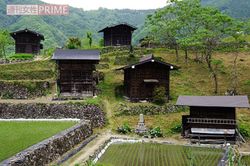 全国でも珍しい石積み造りの棚田が広がり昔ながらの板倉が点在する種蔵地域