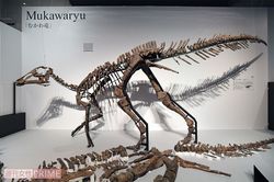 日本が世界に誇るむかわ竜。現在、18道県から骨や歯、卵などの国産の恐竜化石が発見されている