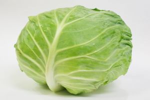 ※画像はイメージです