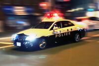 犯罪者の5人に1人が高齢者、社会孤立で「万引きが唯一のコミュニケーション」に