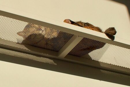 写真提供／木津イチロウさん