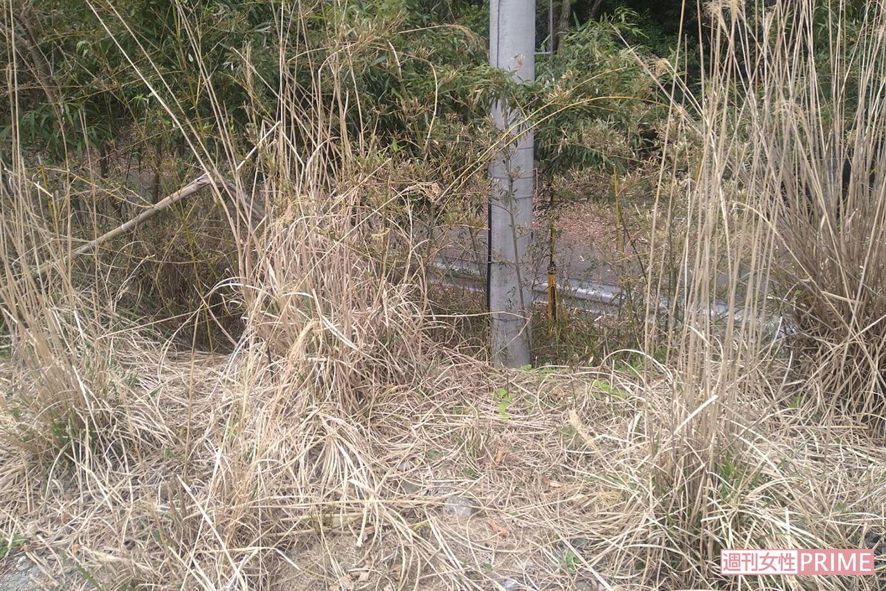 《京都小6男児行方不明事件》4月12日、安達結希さんの靴が発見された場所