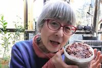 《ユーチュー婆》年金3万円でひとり暮らしを満喫！水原希子もハマる、69歳の女性YouTuberの物価高に負けな…