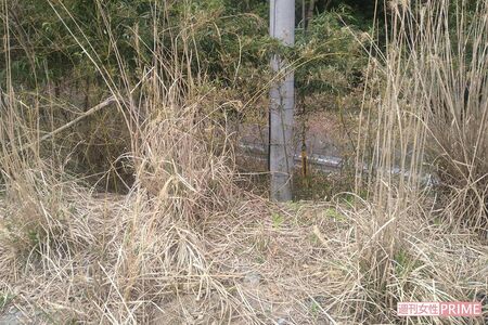 《京都小6男児行方不明事件》4月12日、安達結希さんの靴が発見された場所