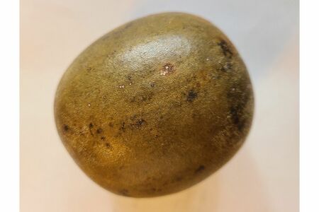 羅漢果の種を煎じた羅漢果茶には、腸から糖分を吸収しにくくする作用があるという。「砂糖代わりとして調理にも使います」