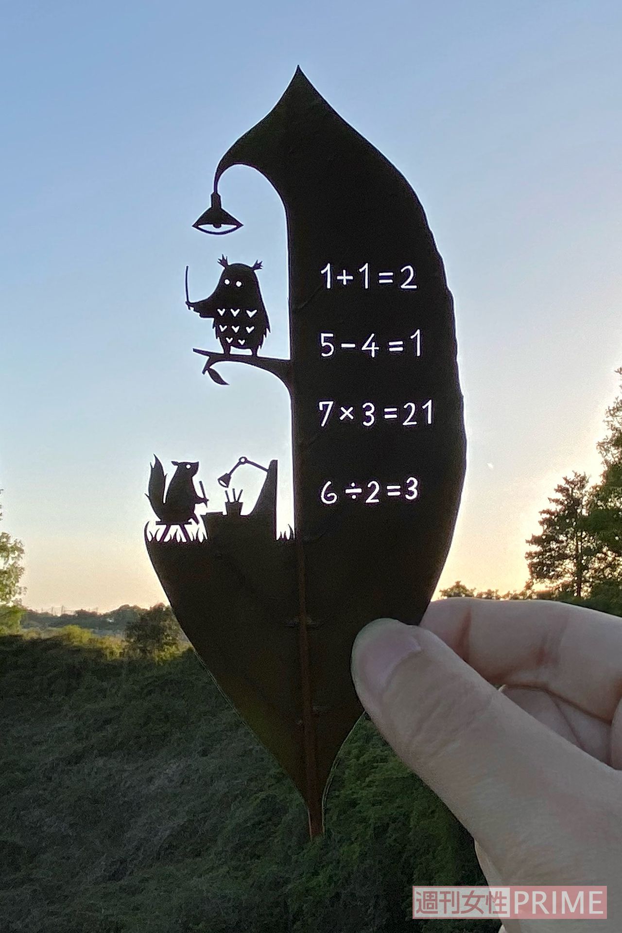 『教えて、物知り先生！』#森の賢者　フクロウ先生は森の生徒たちの人気者なのです