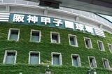 「第108回全国高校野球選手権大会」甲子園初の女性審判委員のよる2度の“誤審”騒…