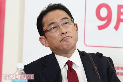 岸田文雄元政調会長