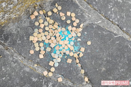 猫の死骸の近くで見つかった青い粉が混ぜられたキャットフード（読者提供）