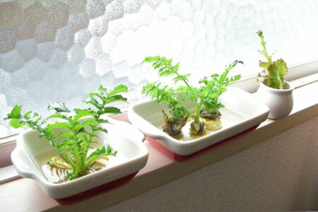 ※写真はイメージです