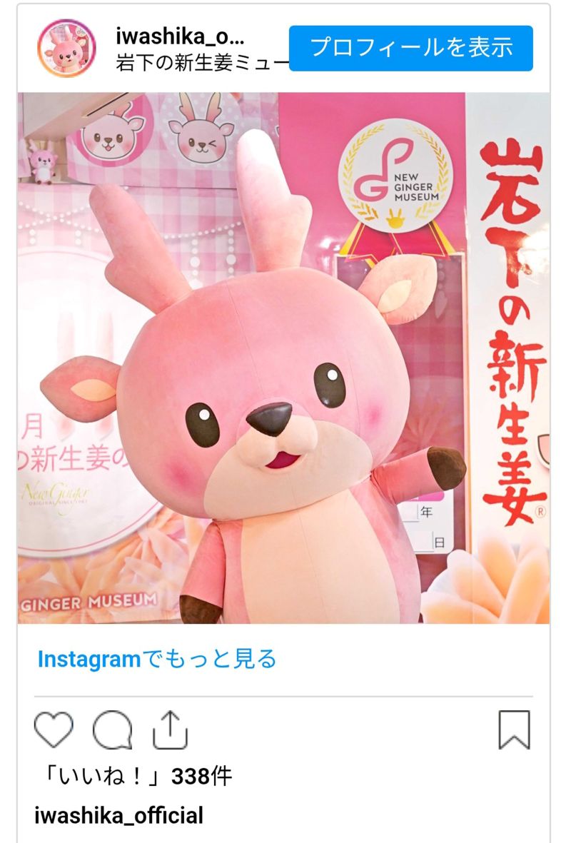 社員手作りの衣装姿のイワシカちゃんも好評（公式TikTokより）