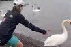 海外観光客、山中湖の白鳥の首をつかみ笑顔で記念撮影動画が大炎上、真偽不明の残酷な画像拡散で乱れる議論