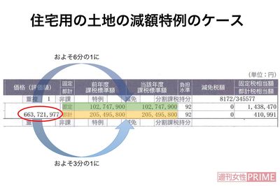 住居用の土地の減額措置の例
