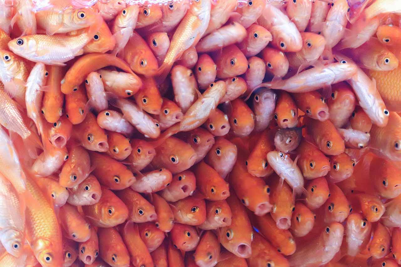 “映え写真”も撮れる楽しい展示　写真提供／桂浜水族館