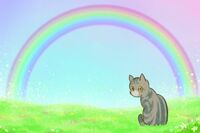 愛ネコの最期を看取るときーー現役獣医が教える安楽死、ペットロスとの向き合い方