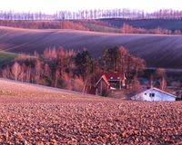 花粉症の50代女性、北海道へ引っ越し「梅雨もないし最高」