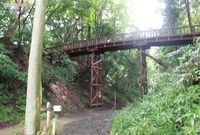 橋がグニャリ・友人が豹変・誰もいない背後から視線、恐怖の“心霊スポット”探索記