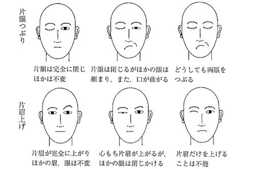 図3：ウインクと片眉上げの得手不得手の分類（香原志勢『顔と表情の人間学』より）