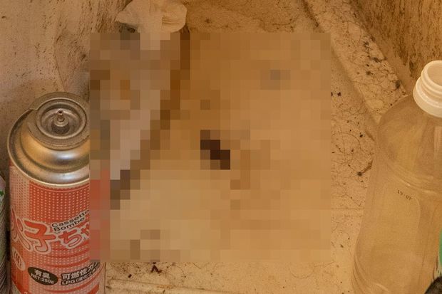 エグすぎ自主規制