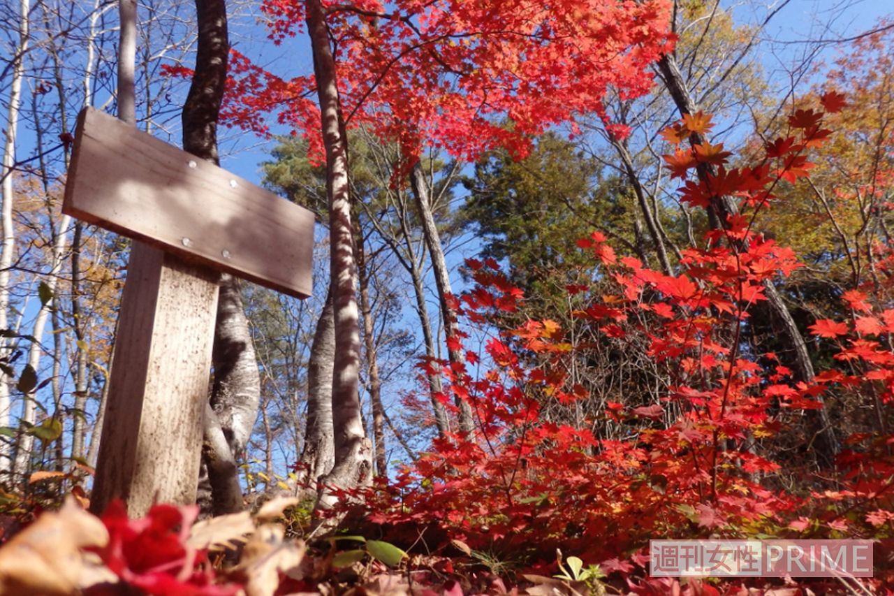 日本初の樹木葬 知勝院