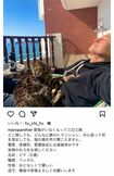 失踪した愛猫の目撃情報を募ったマーク・パンサー(本人のインスタグラムより)https://www.instagram.com/p/CpoXic8P2Tl/