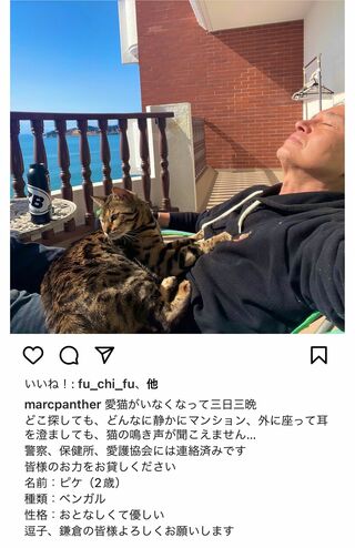 失踪した愛猫の目撃情報を募ったマーク・パンサー（本人のインスタグラムより）