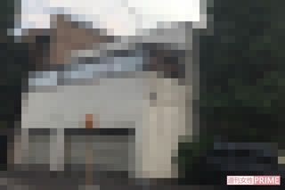 改装されたベランダでは、この日も犬が走り回っており音も異臭もない