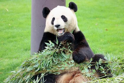 結浜　ゆいひん（撮影／二木繁美）