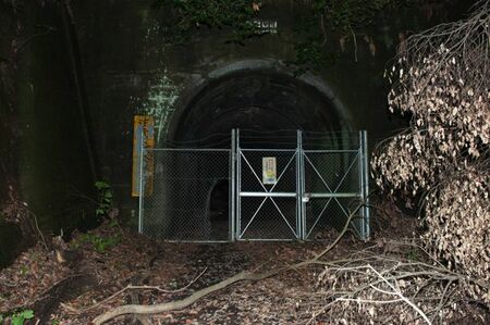 【写真】東京湾観音へ。行く手を阻むように倒れている木。真っ暗なため数メートル先も見えない