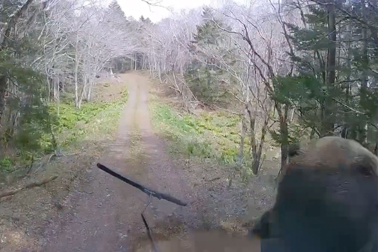 軽トラックに体当たりするヒグマ（Xより）