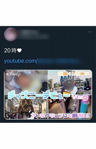 1歳半の赤ちゃんをディズニーランドに連れて行ったことを報告していた（インターネットより、一部編集部加工）
