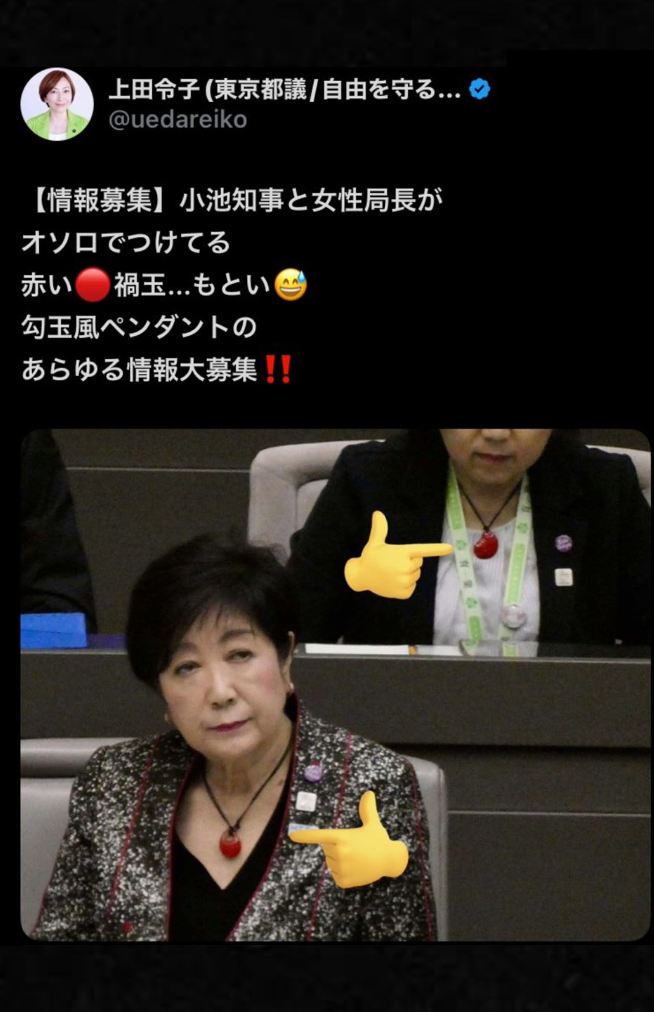 小池知事が着用する能登支援のペンダントに関する情報を求める上田令子氏（本人のXより、現在は削除済み）