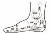 足の内側の反射区