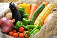 「生で野菜を食べても栄養素のムダ」栄養士が明かす驚きの真実…！ 意外だけど簡単な吸収率アップ法は“野…