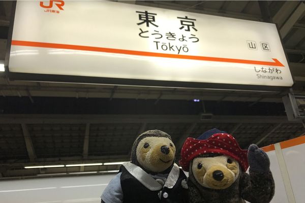 ぬいぐるみ専門の旅行代理店では、東京、横浜、鎌倉ツアーをレギュラーで開催