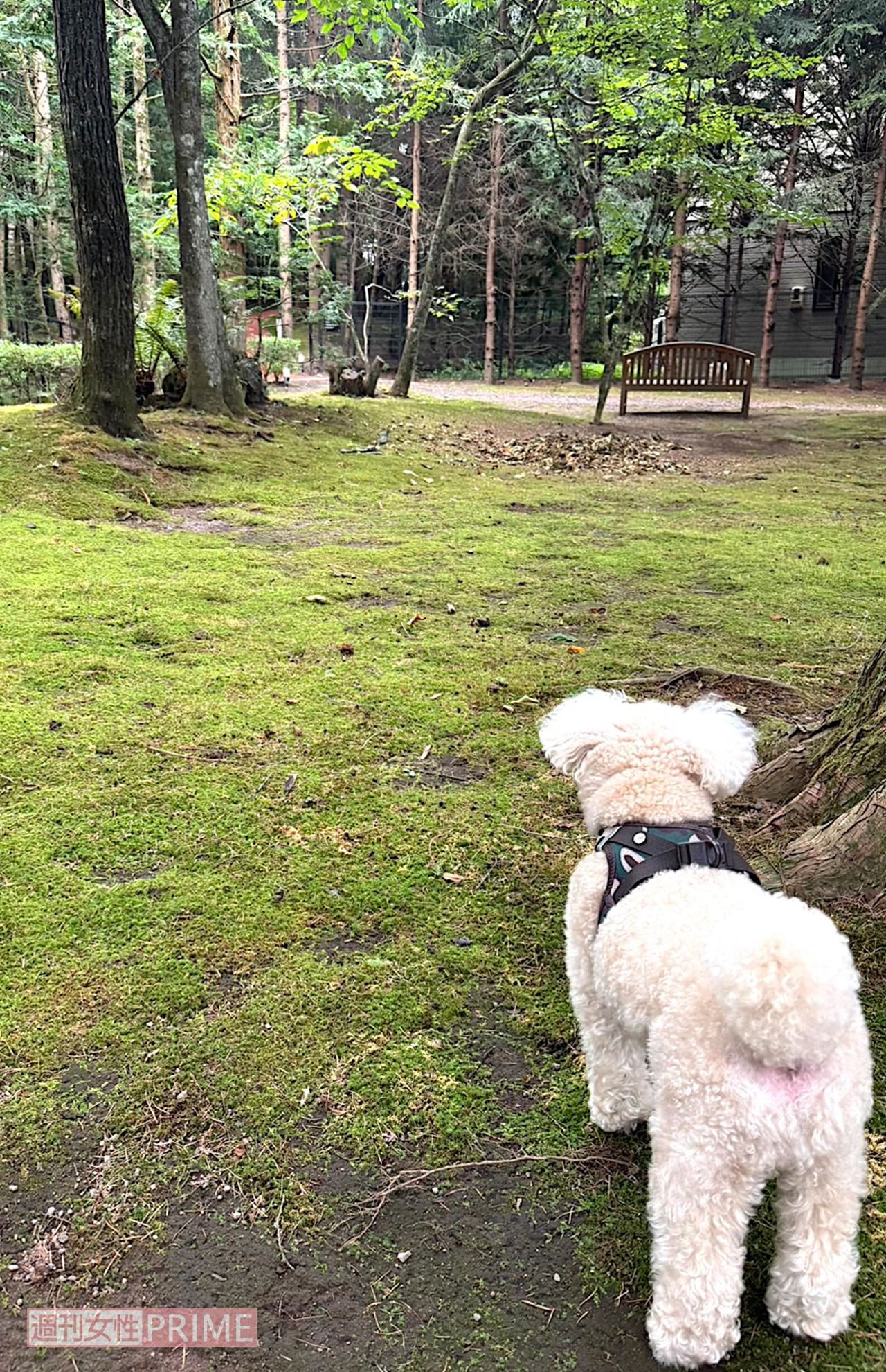 撮影／加藤綾菜