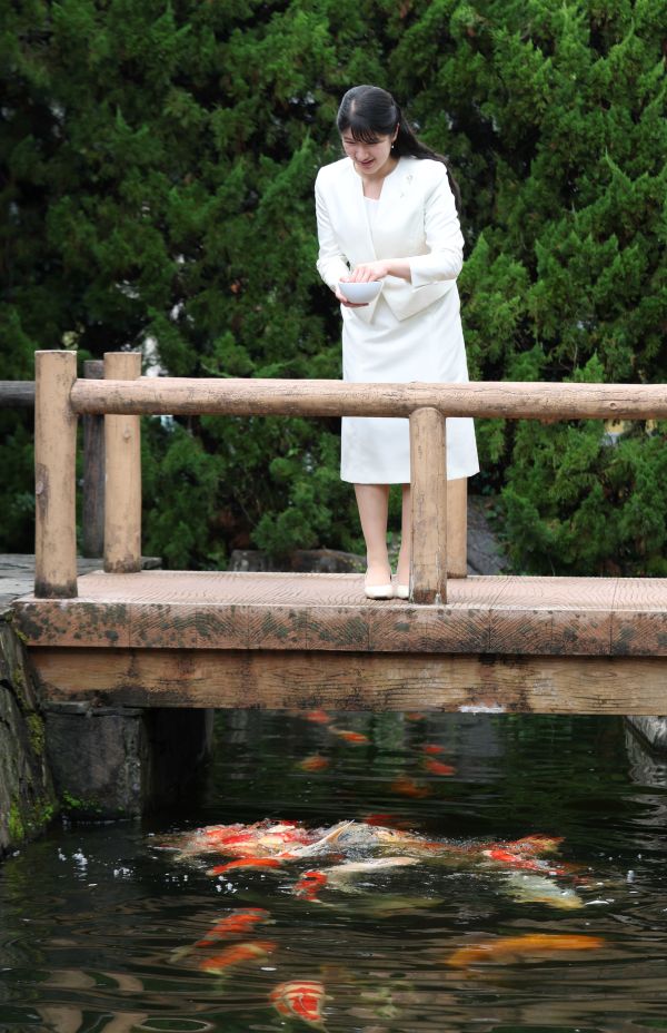 錦鯉に餌やりをされる愛子さま