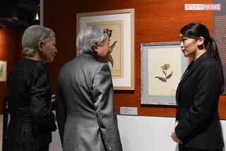 勤務される博物館で上皇ご夫妻を案 内された際の眞子さま（2017年12月）
