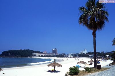 南国ムードたっぷりの白良浜海水浴場（和歌山県）