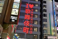 歌舞伎町を見た外国人観光客も悲鳴「ここは地獄デスか？」、トー横キッズ、立ちんぼ、飛び降り、ホスト…ス…