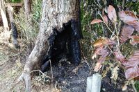 《埼玉・ときがわ町》引きこもりの初老が連続放火、近所が恐怖した奇行の数々