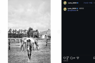熱愛報道のONE OK ROCK・RyotaがSNSに投稿していた意味深な“牧場写真”（公式インスタグラムより）