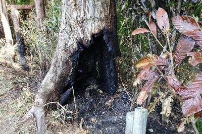 《埼玉・ときがわ町》引きこもりの初老が連続放火、近所が恐怖した奇行の数々