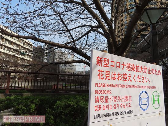 目黒川では「花見はお控えください」と明確なメッセージ