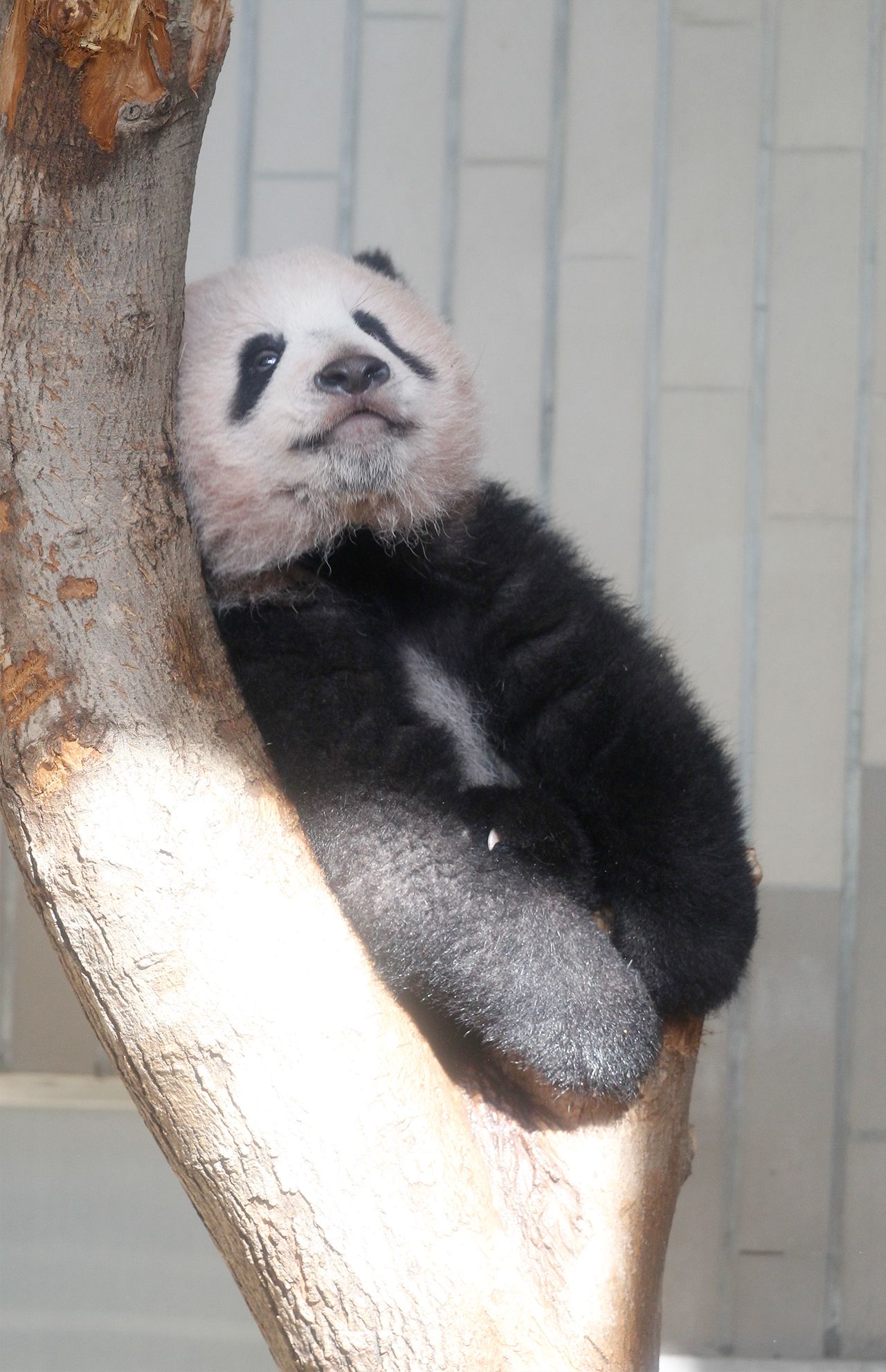 このフィット感がたまんない（撮影／JMPA）