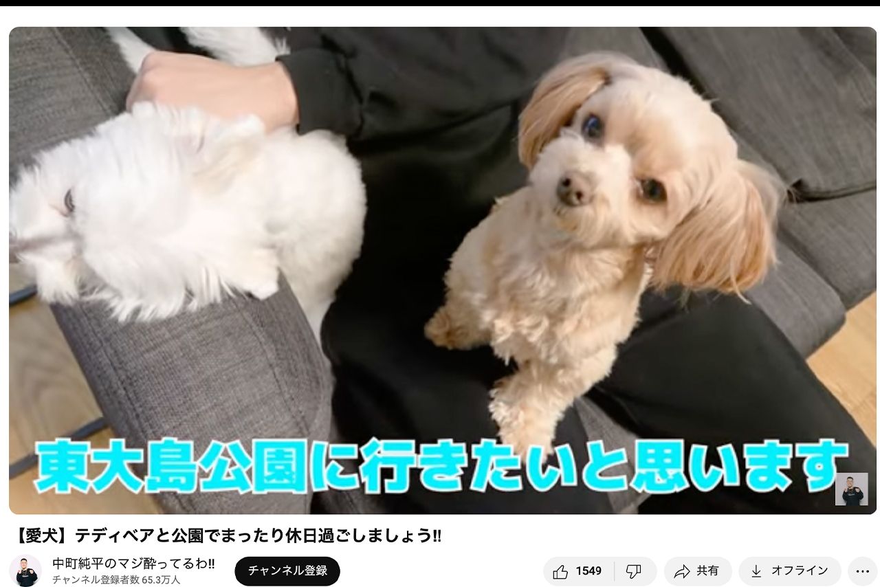 炎上後は癒し動画を公開している中町JP（本人のYouTubeより）