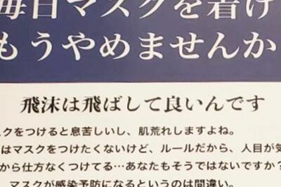 「飛沫は飛ばしていいんです」『進研ゼミ』郵送物に反ワクチンのビラが同封!? 拡散されるデマにベネッセが…